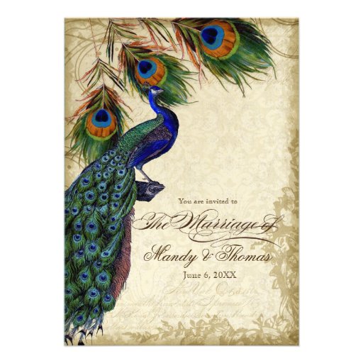 Peacock & Feathers Formal Wedding Tea Stained Personalized Invites