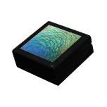 Peacock Feathers Gift Box