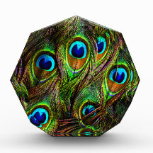 Peacock Feathers Invasion Acrylic Award