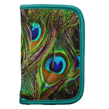 Peacock Feathers Invasion - Organizers