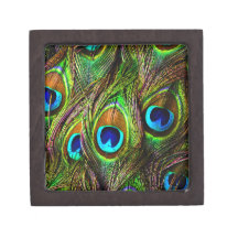 Peacock Feathers Invasion - Premium Keepsake Box