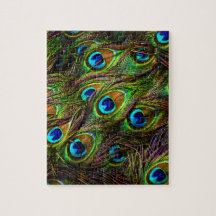 Peacock Feathers Invasion - Puzzles