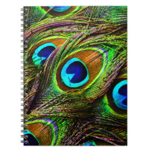 Peacock Feathers Invasion - Spiral Note Books