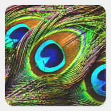 Peacock Feathers Invasion - Square Sticker