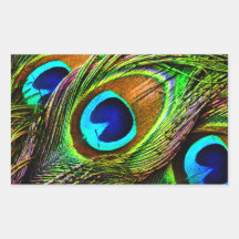 Peacock Feathers Invasion - Sticker