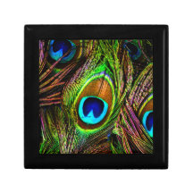 Peacock Feathers Invasion - Trinket Boxes