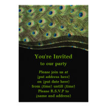 Peacock Feathers Invitations