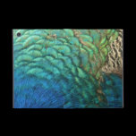 Peacock Feathers iPad Mini Case