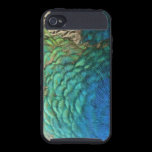 Peacock Feathers iPhone 4 Case