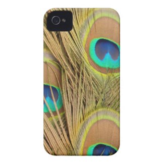 Love Our Planet and Earth Day Motivationals Peacock Feather Phone Cases, Jewelry and Gift Ideas