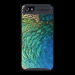 Peacock Feathers iPhone 5 Case
