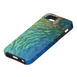 Peacock Feathers iPhone 5 Case iPhone 5 Case