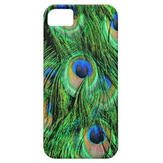 Peacock Feathers iPhone 5 Cover