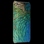 Peacock Feathers iPod Touch Case