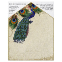 Peacock & Feathers Matching DIY Envelope Liners Flyer Design