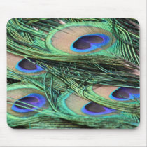 Peacock Feathers mousepads
