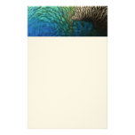Peacock Feathers Nature Stationery