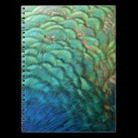 Peacock Feathers Notebook