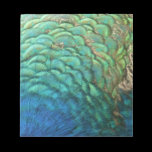 Peacock Feathers Notepad