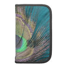 Peacock Feathers on black and turquoise Folio Planner
