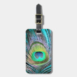Peacock Feathers on turquoise Bag Tags