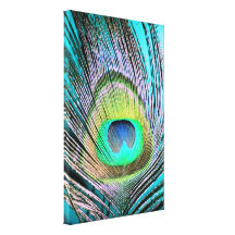 Peacock Feathers on turquoise Gallery Wrapped Canvas