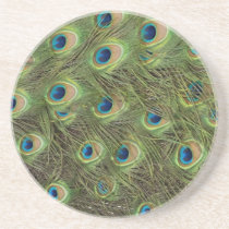 Peacock Feathers Pattern Beverage Coaster