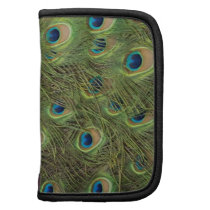 Peacock Feathers Pattern Folio Planner