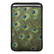 Peacock Feathers Pattern MacBook Sleeves
