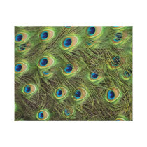 Peacock Feathers Pattern Stretched Canvas Print