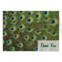 Peacock Feathers Pattern Thank you Greeting Cards