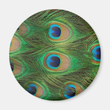 Peacock Feathers - Peafowl Fridge Magnet