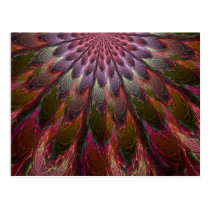 Peacock Feathers postcards