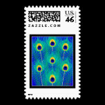 Peacock Feathers stamps