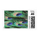 Peacock Feathers postage