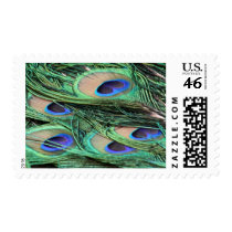 Peacock Feathers postage by Gala98 Peacock Feathers postage
