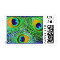 Peacock Feathers postage by kool27 Peacock Feathers postage