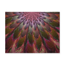 Peacock Feathers postcards