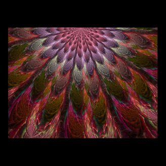Peacock Feathers Poster