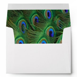 Peacock Feathers Purple Green Envelopes envelope