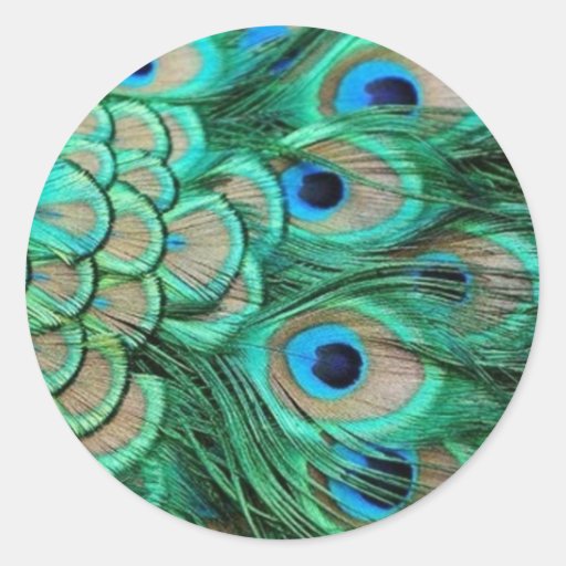 PEACOCK FEATHERS ROUND STICKERS | Zazzle