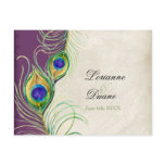 Peacock Feathers RSVP Response Postcards