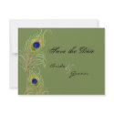 Peacock Feathers Save the Date Invite Cards invitation