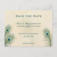 Peacock Feathers Save the Date Wedding pos Postcard