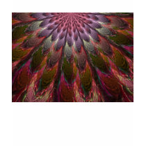 Peacock Feathers t-shirts