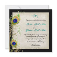 Peacock Feathers Wedding Invitation invitation