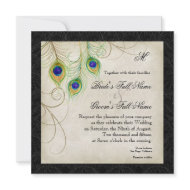 Peacock Feathers Wedding Invitation invitation