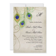 Peacock Feathers Wedding Invitation invitation