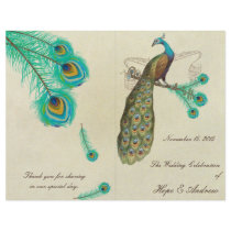 Peacock Feathers Wedding Program 2 Flyer Design