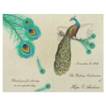 Peacock Feathers Wedding Program 2 flyers